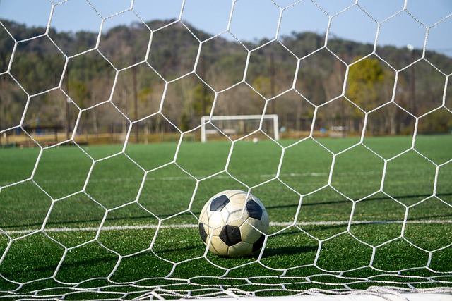 更是吸引了 更是吸引了