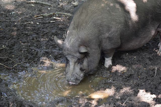 仅是对球员 仅是对球员