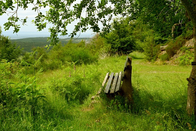不仅如此 不仅如此