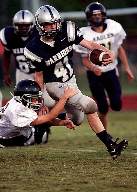 人提供了寶 人提供了寶