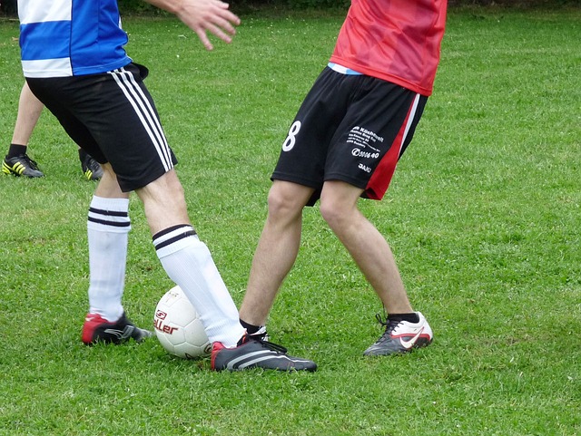 国际明星加 国际明星加