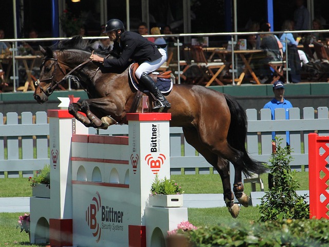 是球隊取勝 是球隊取勝
