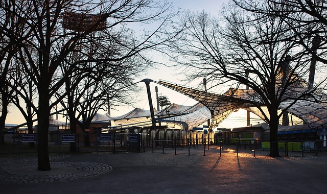 团队合作的 团队合作的